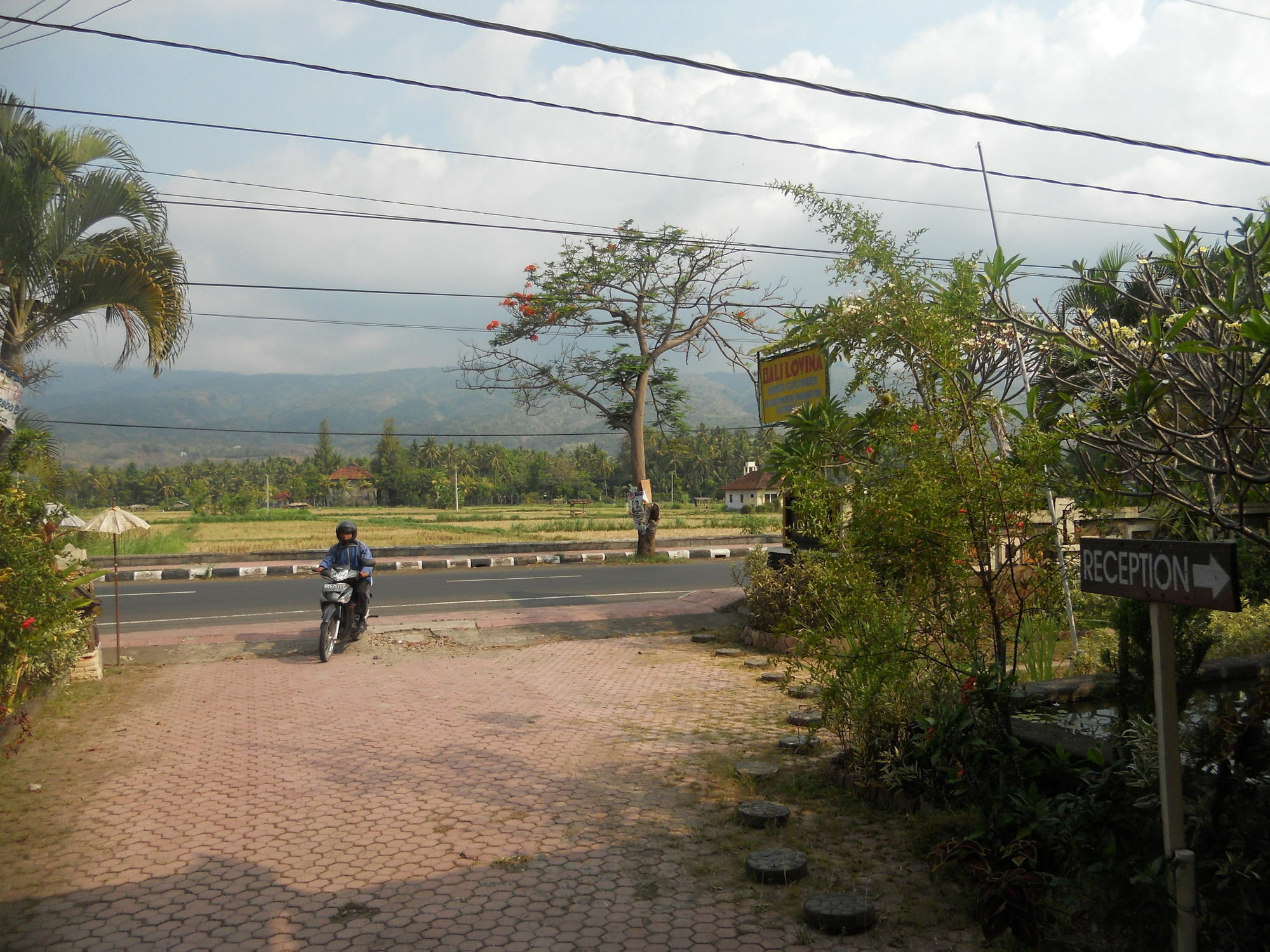 Bali Lovina Beach Cottages Pabean Buleleng Exterior foto